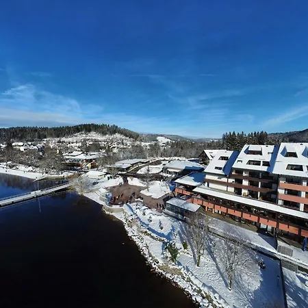 Maritim Titisee Hotel-2
